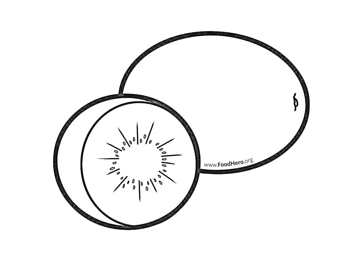 На раскраске изображено: Киви, Разрезанный киви, Целый киви, Фрукты, Еда