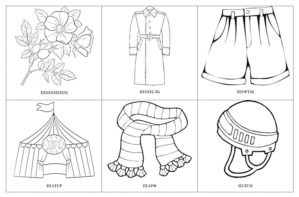 На раскраске изображено: Шиповник, Шинель, Шорты, Шатер, Шарф