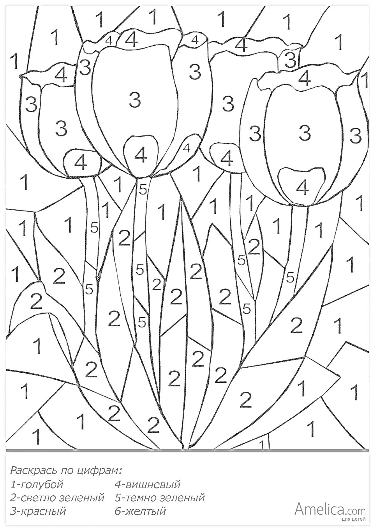 Раскраска Раскраска по номерам с тюльпанами