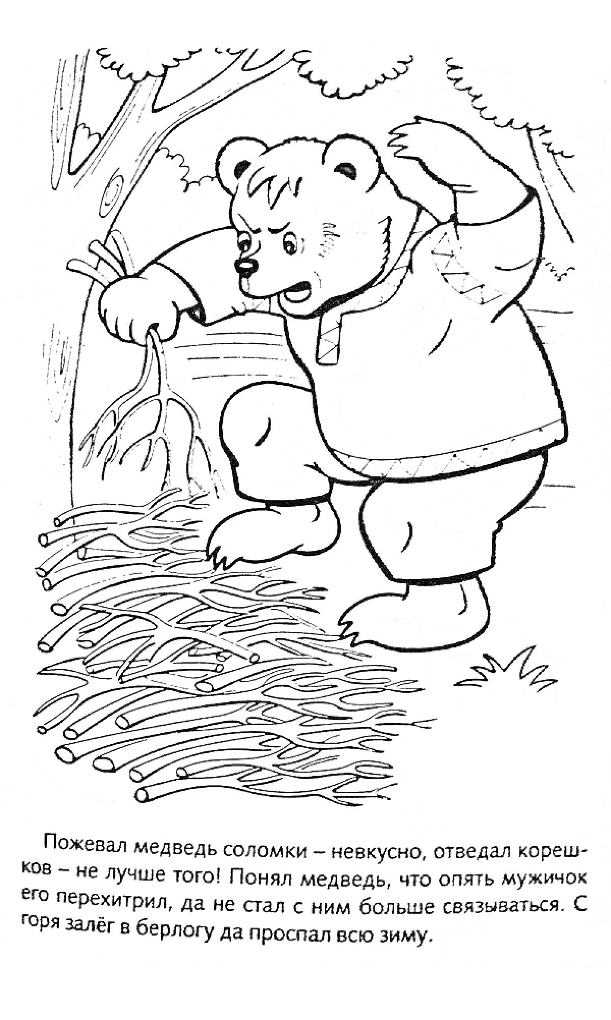 Раскраска Медведь у костра с корешками и соломой в лесу на фоне деревьев