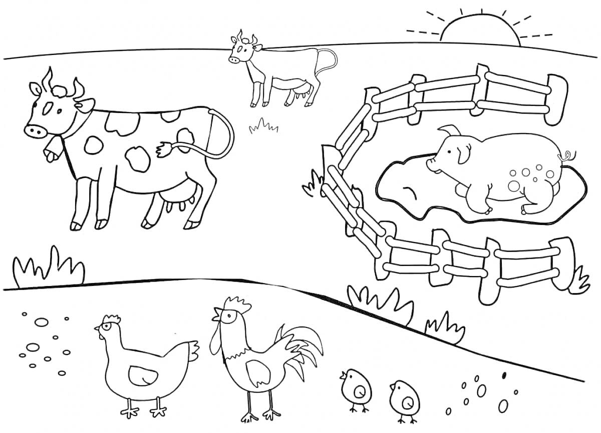 Раскраска Корова, теленок, свинья в загоне, курица, петух, цыплята на ферме с восходящим солнцем