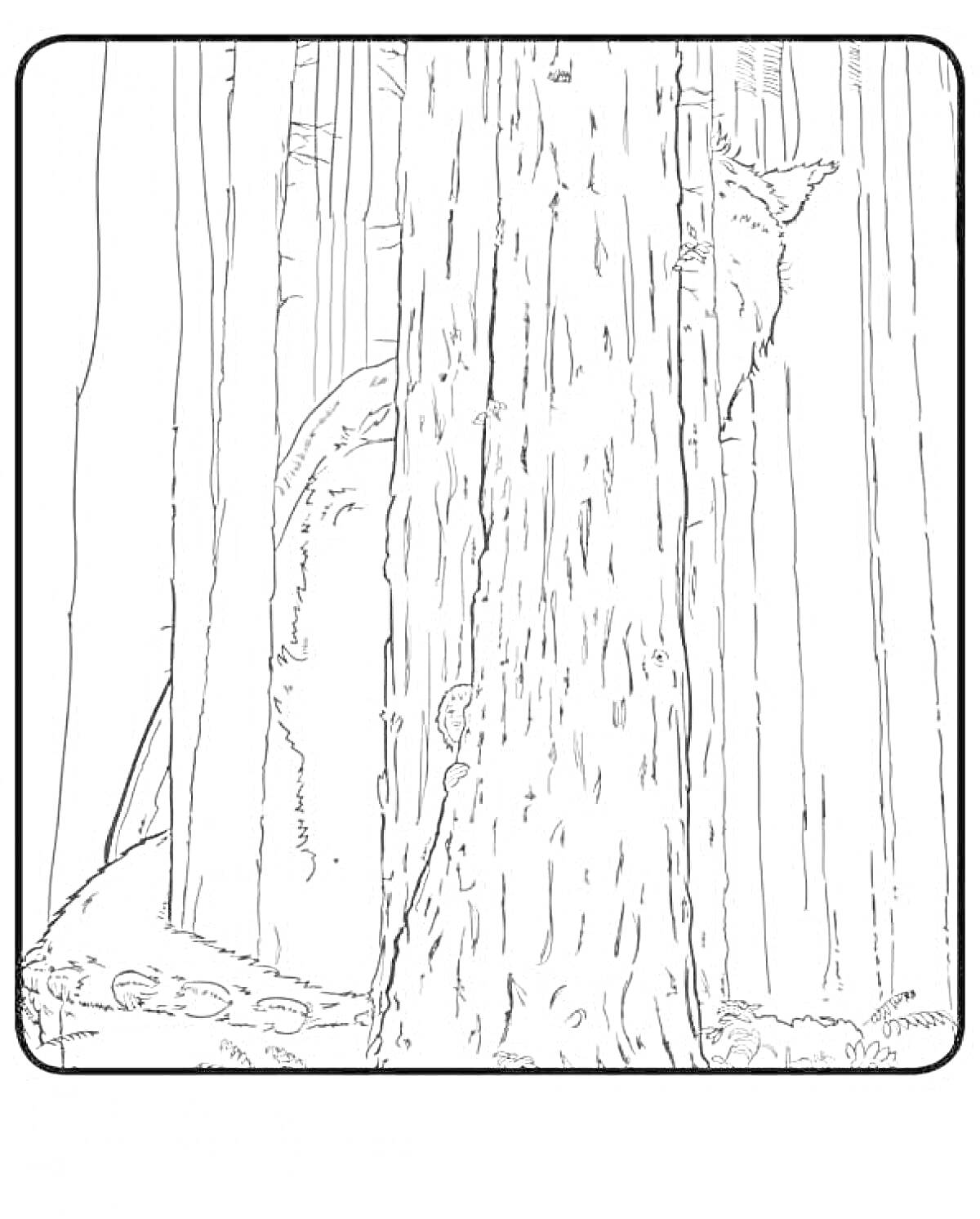 Раскраска Пит и его дракон, дракон прячется за деревьями в лесу