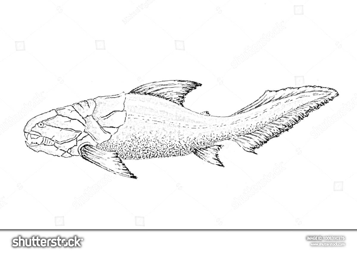 На раскраске изображено: Дунклеостей, Рыба, Древние животные, Ископаемое, Морская жизнь, Античность, Природа, Палеонтология