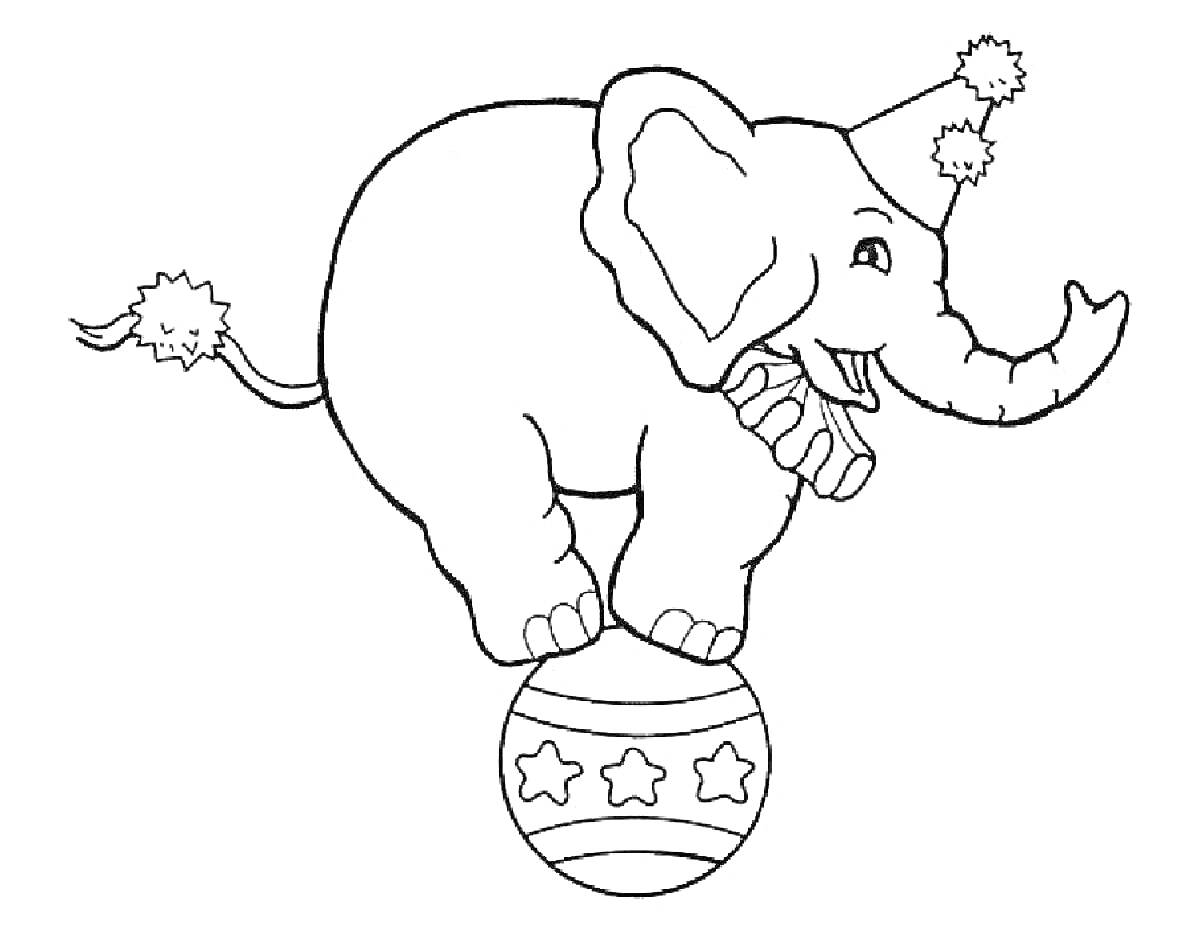 Раскраска Слон в цирковой шапочке, стоящий на мячике с рисунком звезд