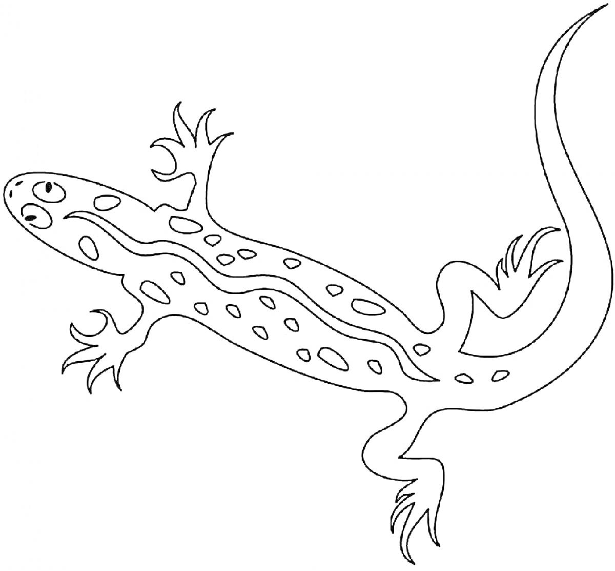 Ящерица с пятнистым узором, с четырьмя лапами и длинным изогнутым хвостом