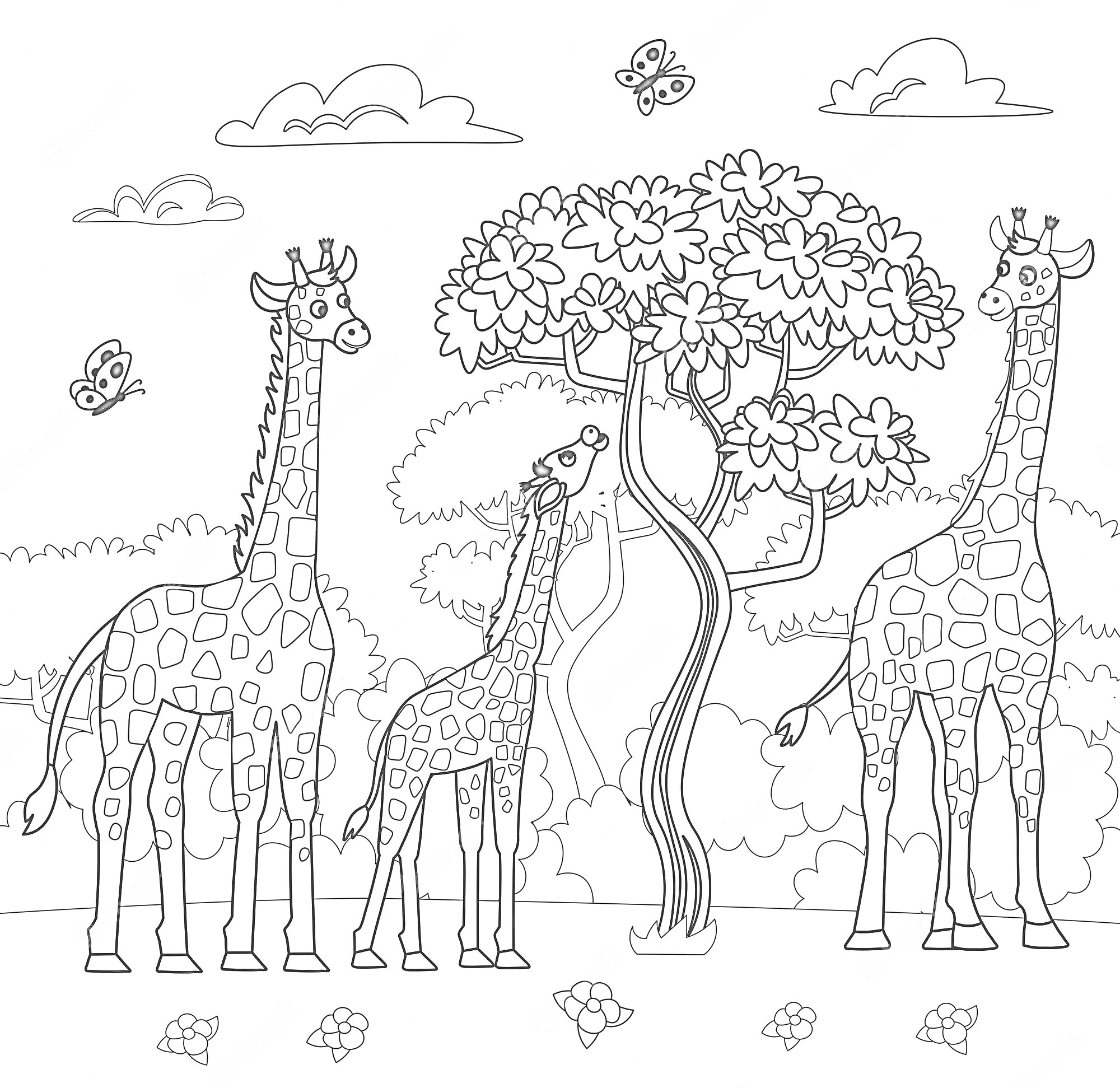 На раскраске изображено: Жирафы, Облака, Цветы, Африка, Животные, Природа