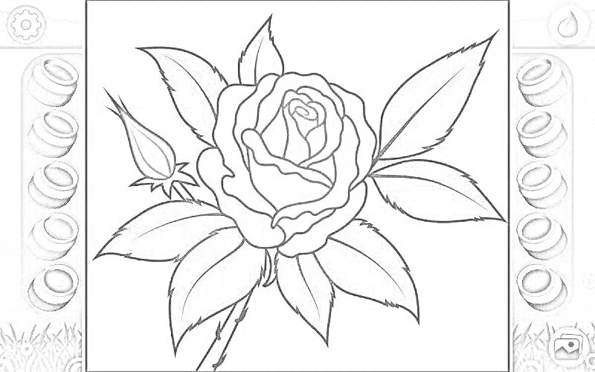 Раскраска Роза с листьями и бутоном в приложении для раскраски по номерам