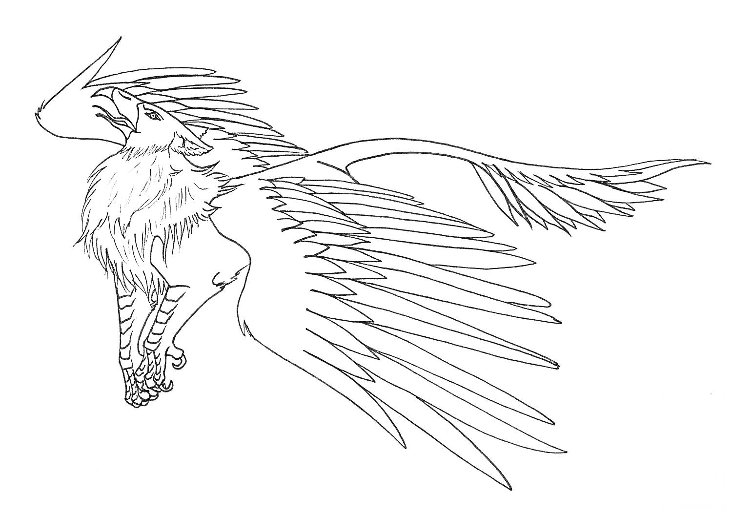 Раскраска Грифон с расправленными крыльями и львиным туловищем