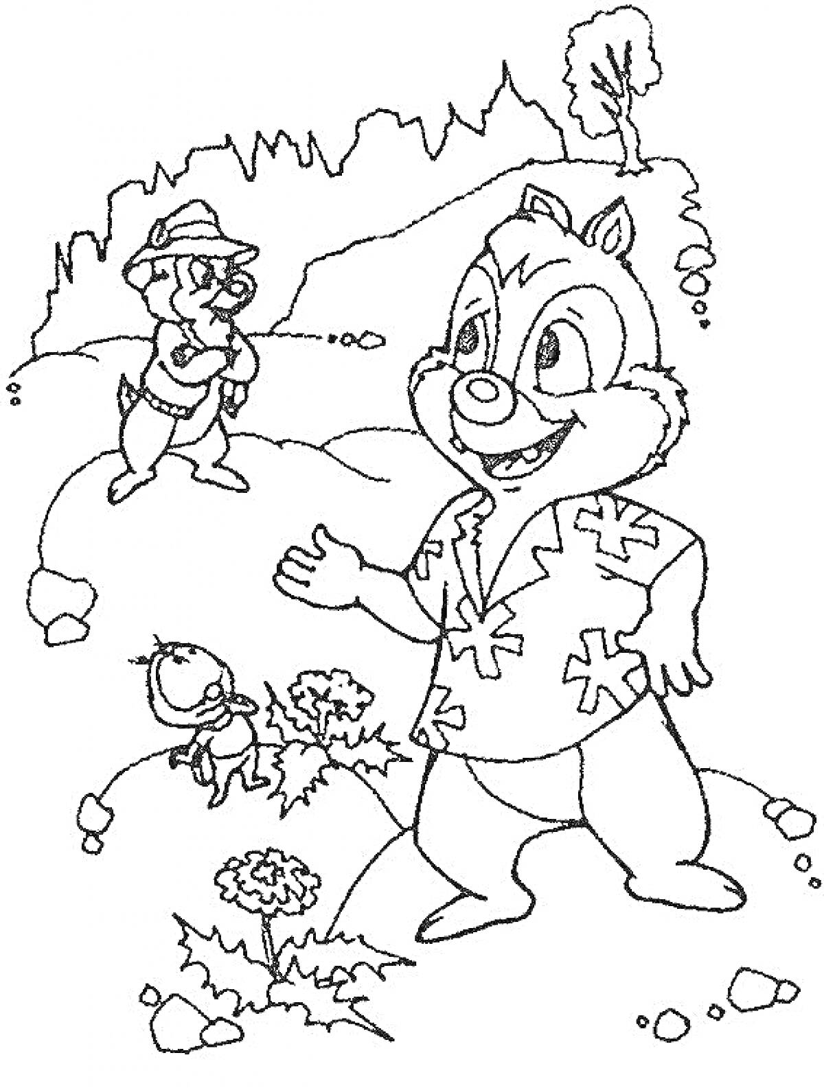 На раскраске изображено: Бурундуки, Природа, Муха, Цветы, 90-е годы
