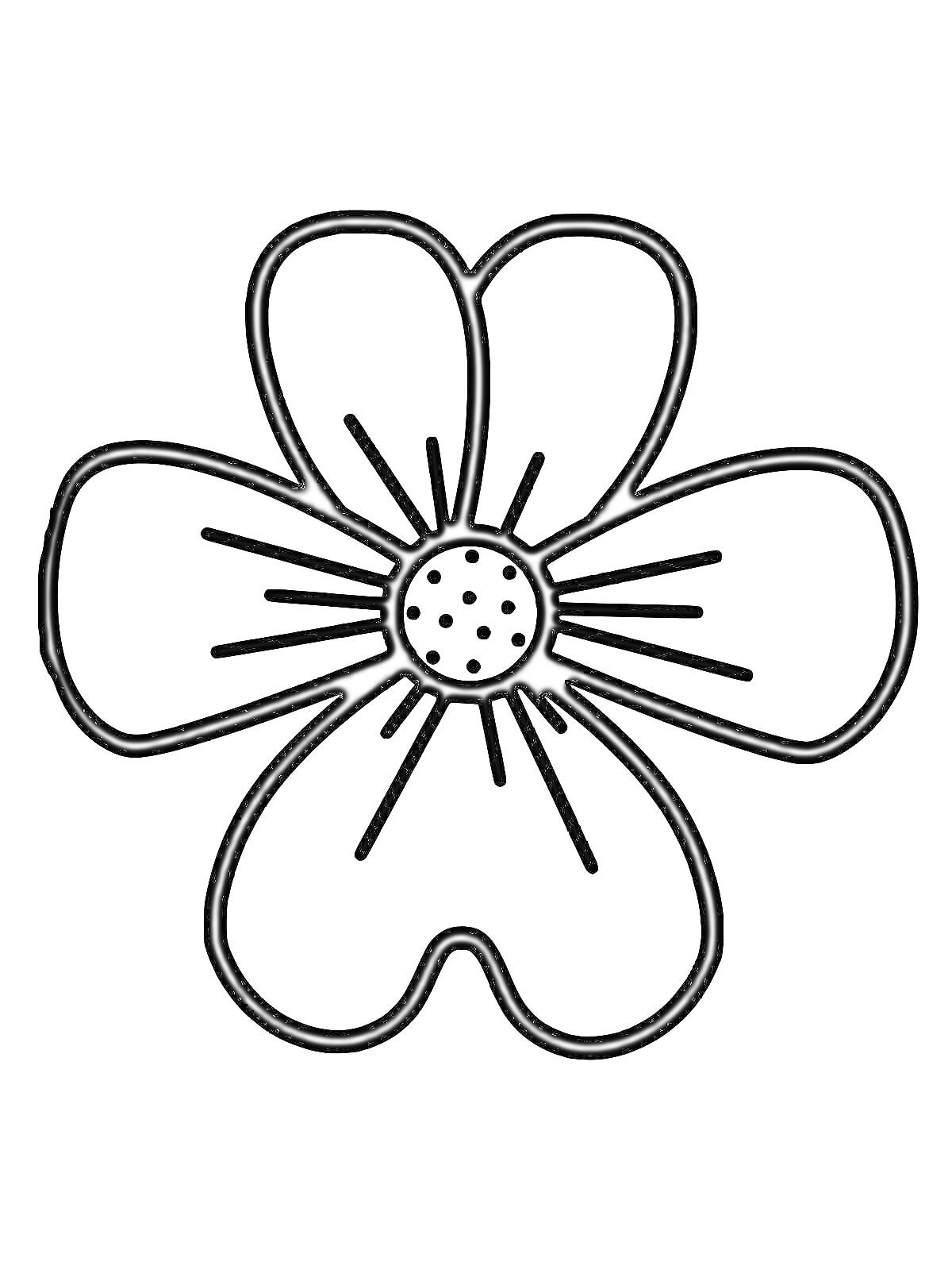 Раскраска Простая раскраска цветок с пятью лепестками и точками в центре