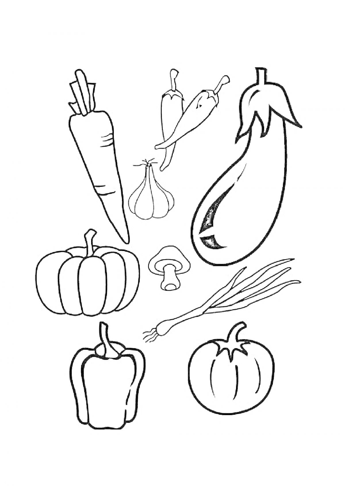 Раскраска с изображением моркови, перца чили, чеснока, баклажана, тыквы, шампиньона, лука-порея, красного перца и помидора