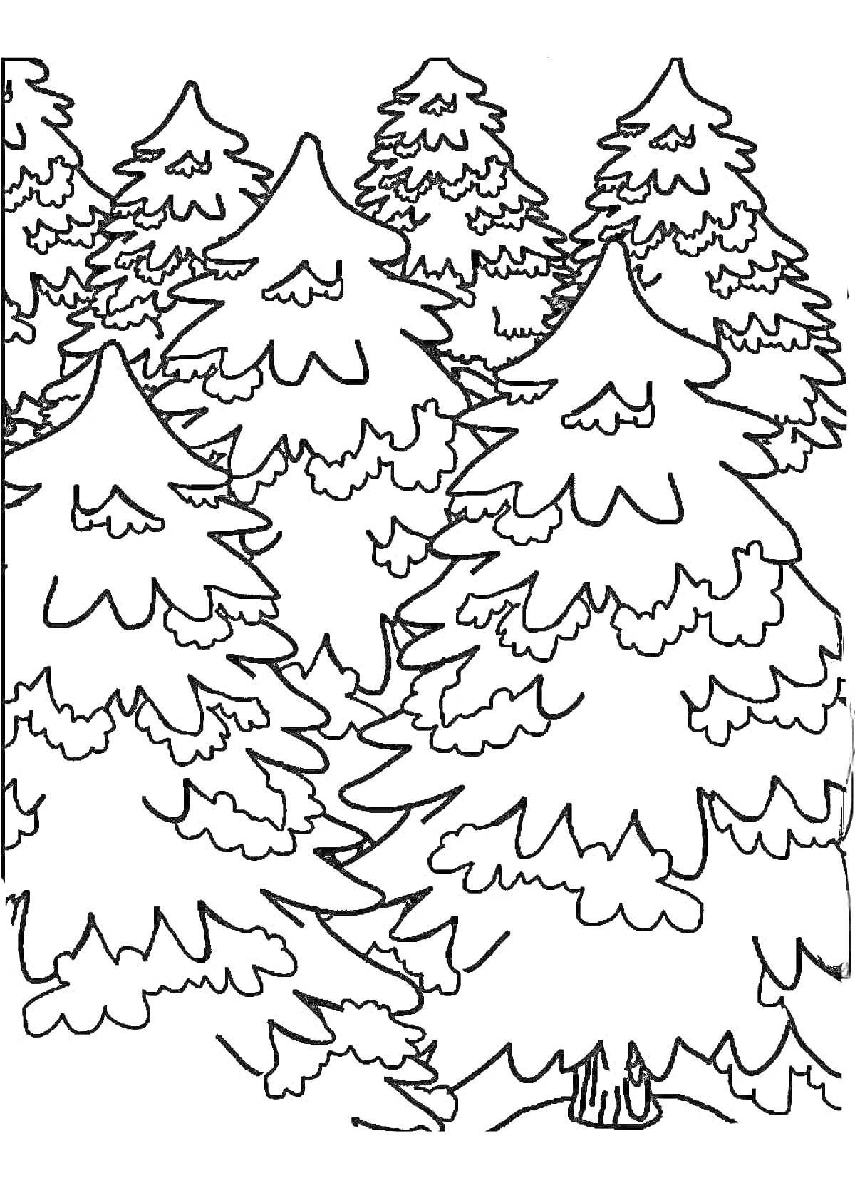На раскраске изображено: Лес, Деревья, Природа, Хвойные деревья, Творчество, Зима, Для детей, Елки