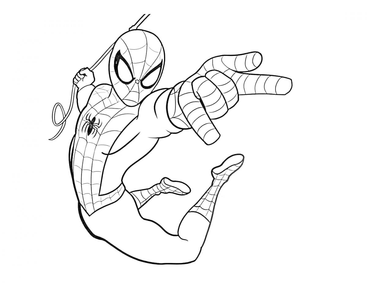 Раскраска Человек-паук на паутине в прыжке