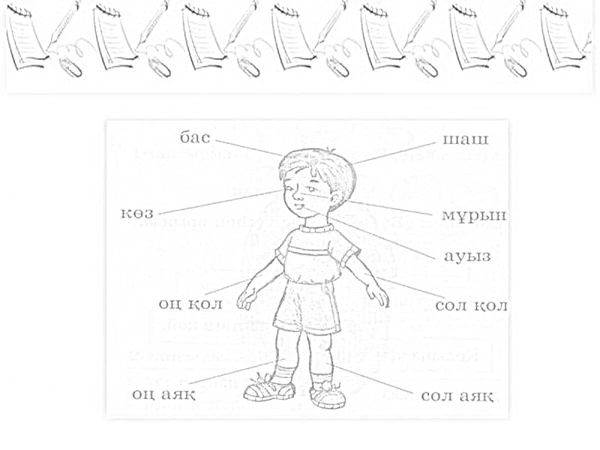 Части тела ребенка: бас, шаш, мұрын, көз, құлақ, оң қол, сол қол, оң аяқ, сол аяқ