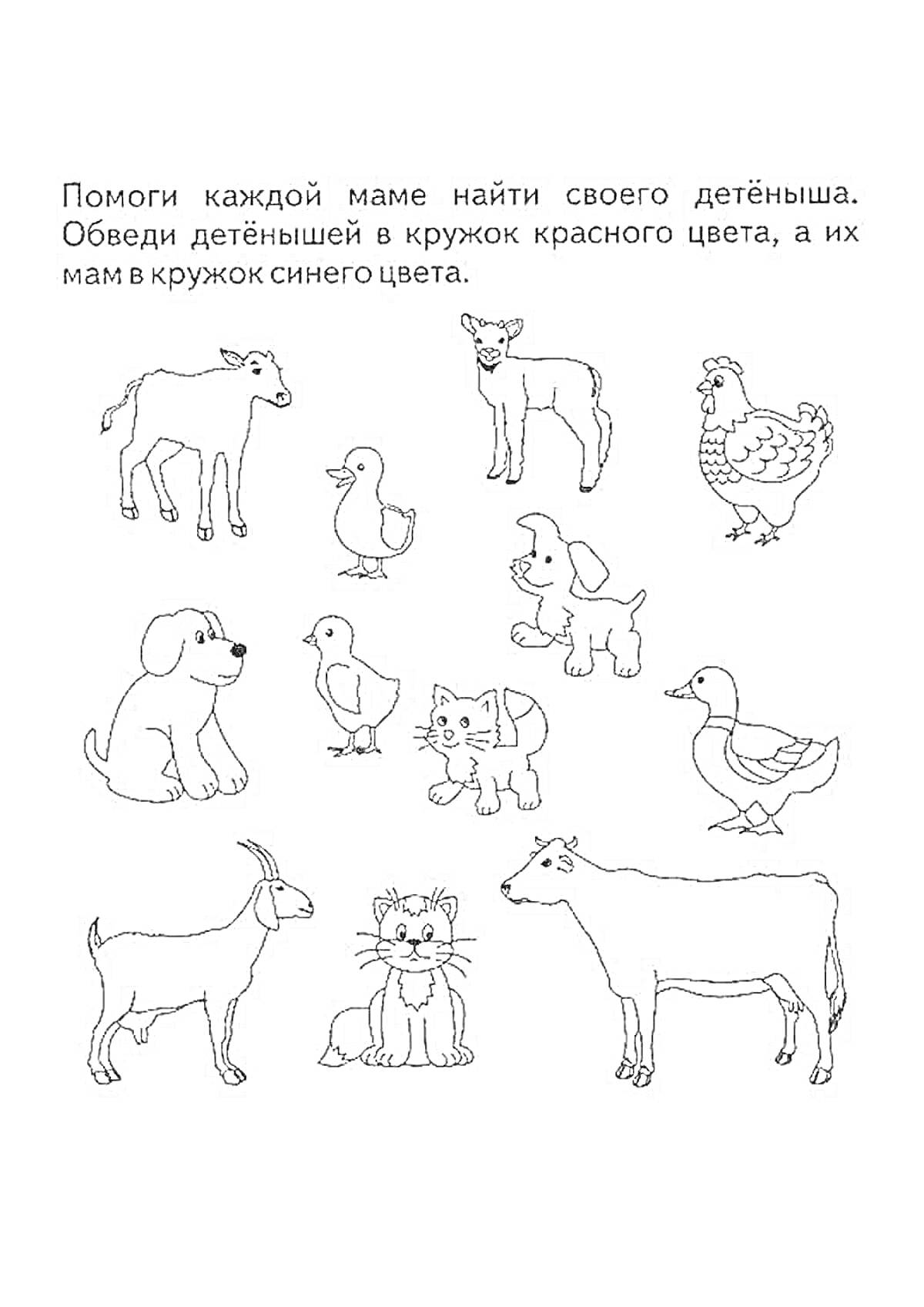 На раскраске изображено: Домашние животные, Детеныши, 3 года, 4 года, Собака, Утка, Корова, Теленок, Развивающее задание