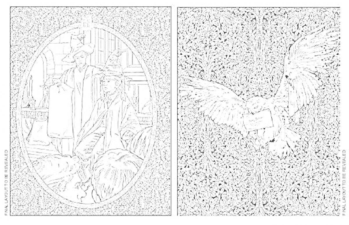 Раскраска Гермиона, Гарри и сова на фоне завитков и орнамента