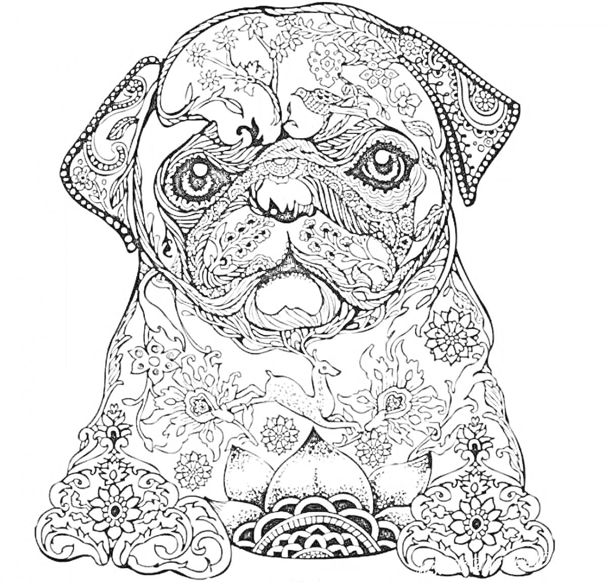 На раскраске изображено: Собака, Декор, Цветы, Мандала, Антистресс, Узоры