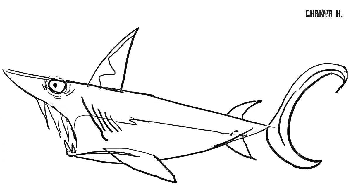 Раскраска Геликоприон с огромными зубами и спиральной нижней челюстью