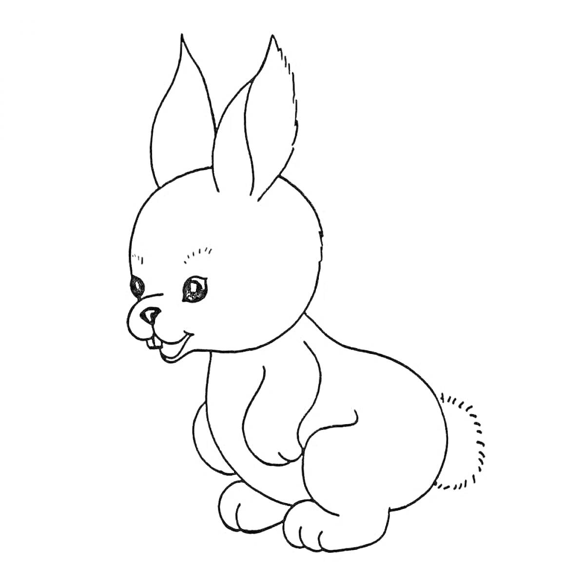 На раскраске изображено: Заяц, Длинные уши, Милый заяц, Уши