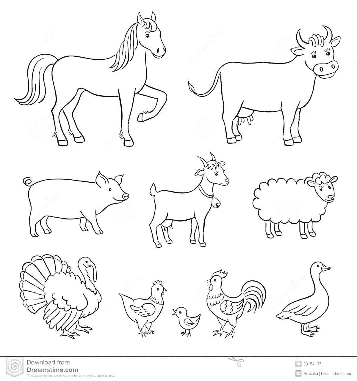 На раскраске изображено: Домашние животные, Средняя группа, Лошадь, Корова, Индюк, Петух, Утка
