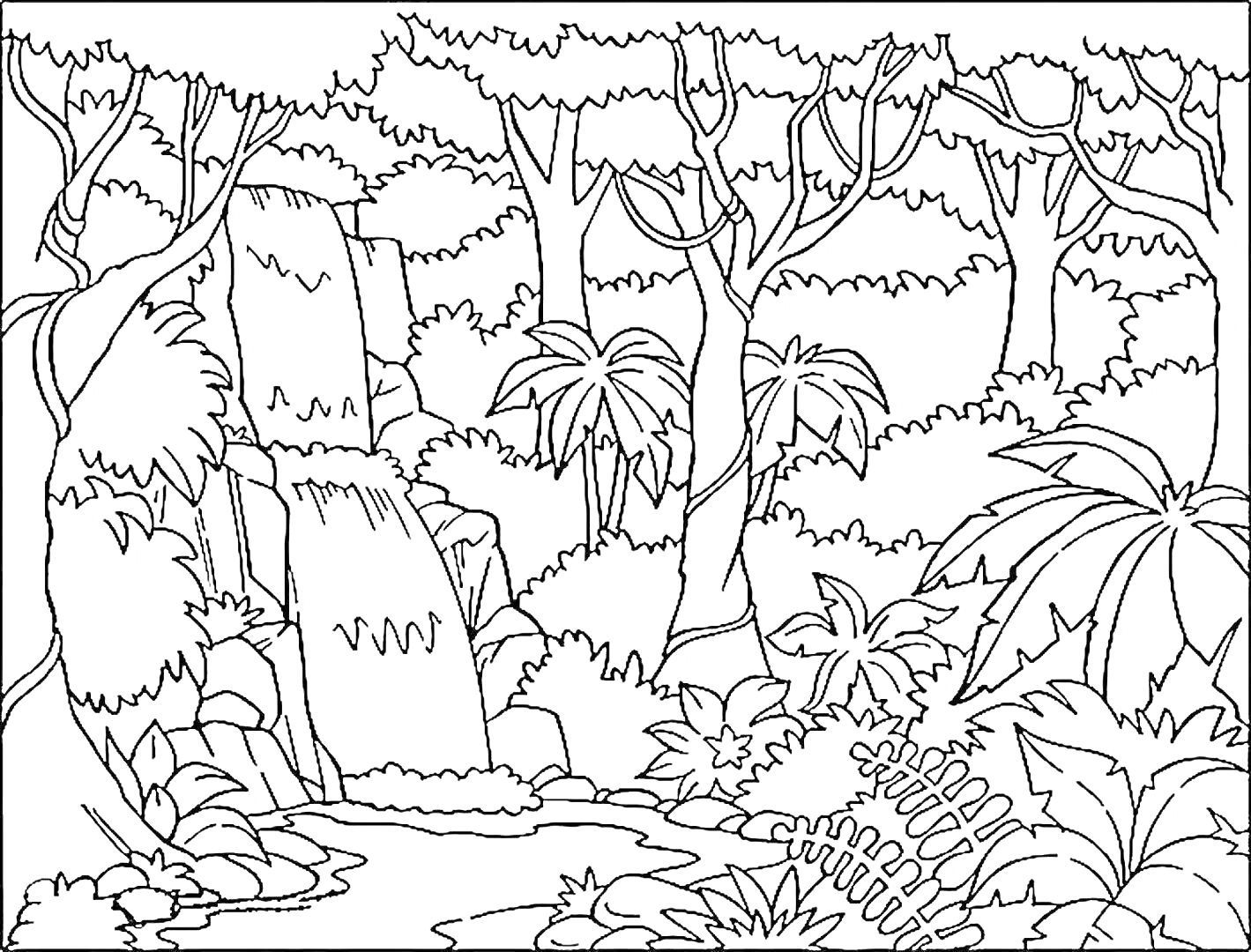 На раскраске изображено: Джунгли, Водопад, Деревья, Пальмы, Кусты, Камни, Природа, Растения, Ручей, Лес, Тропики