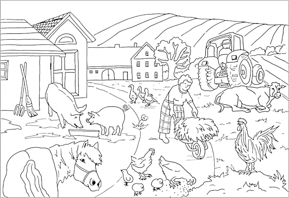 Раскраска Ферма с животными и сельским хозяйством