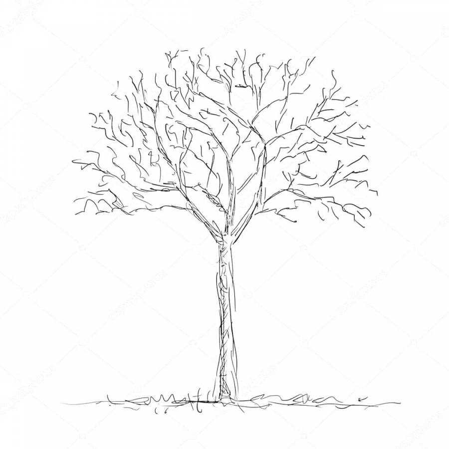 Раскраски средняя группа: 150 раскрасок - скачать или распечатать бесплатно