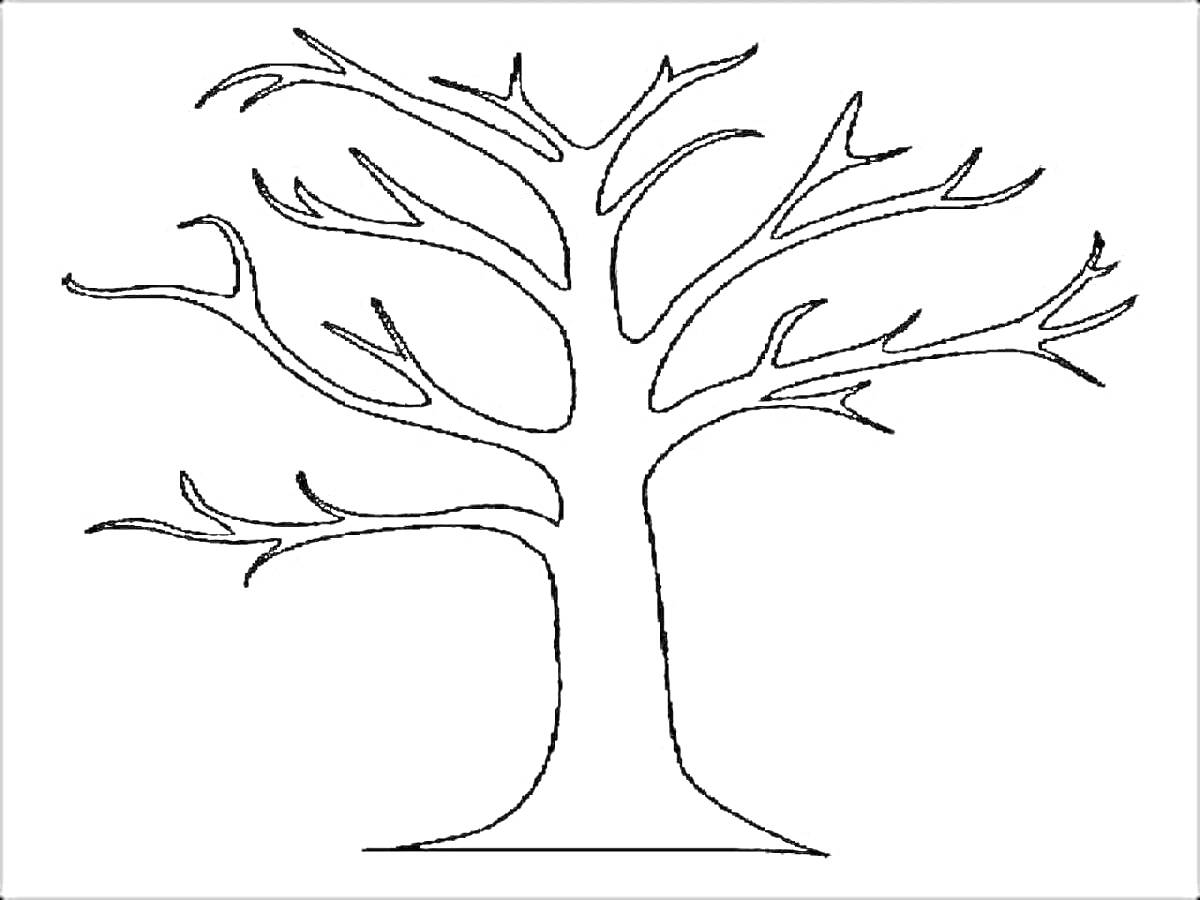 Раскраска Раскраска с изображением дерева без листьев и корнями