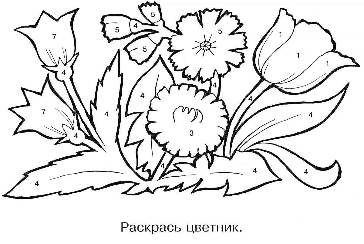 На раскраске изображено: Цветник, Гвоздика, Листья, Номер 3, Номер 4