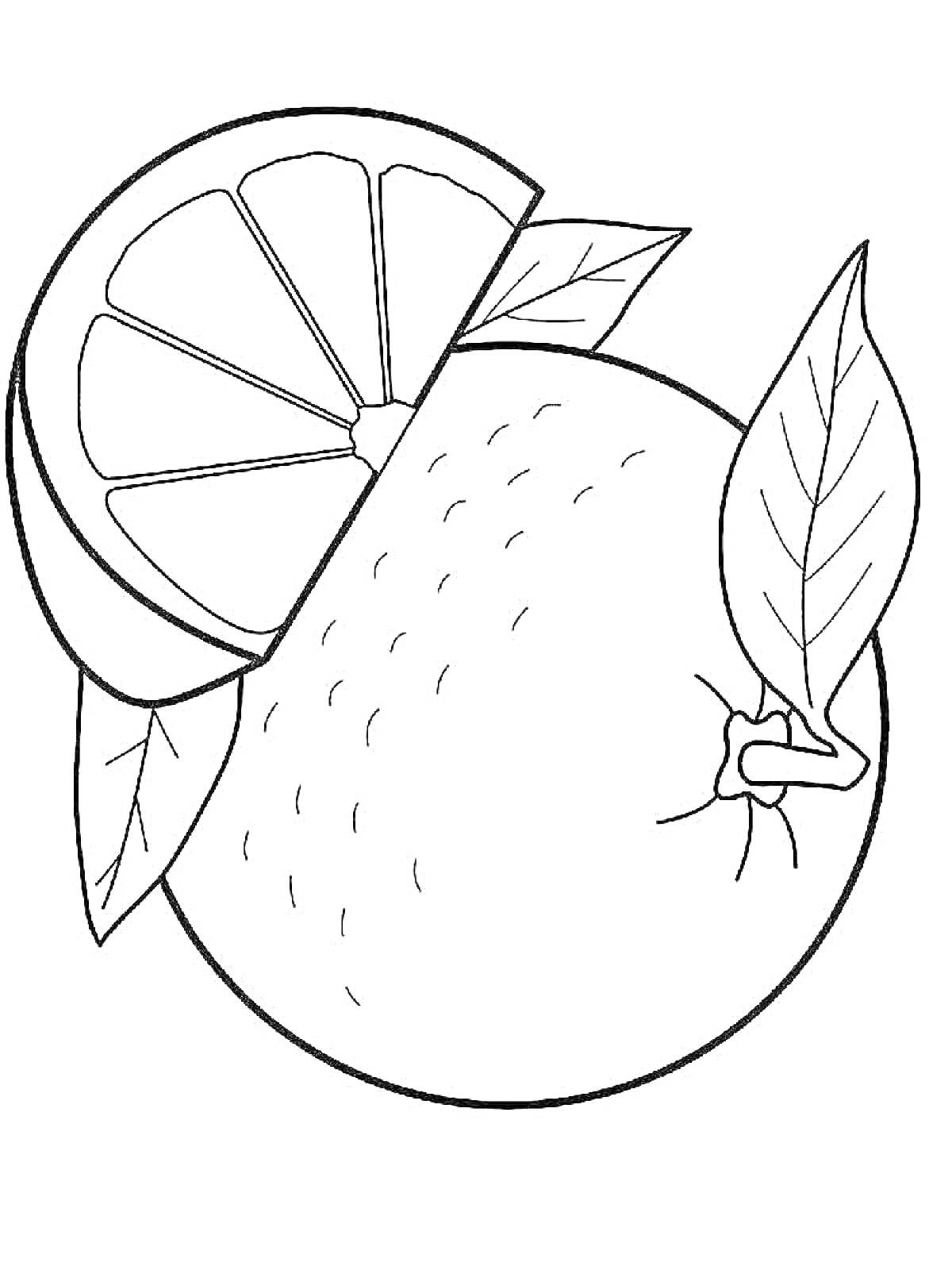 На раскраске изображено: Апельсин, Листья, Еда, Овощи и фрукты, Для детей, Фрукты, Контурные рисунки