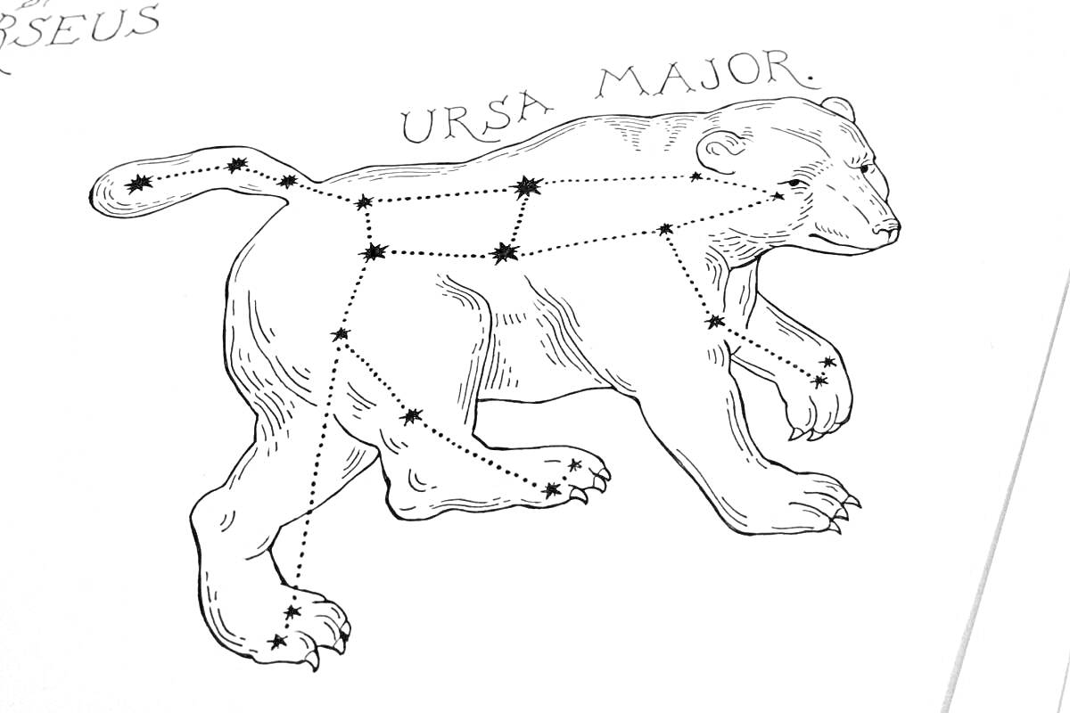 Раскраска созвездие Большой Медведицы (Ursa Major), состоящее из очертаний медведя и соединённых звёзд