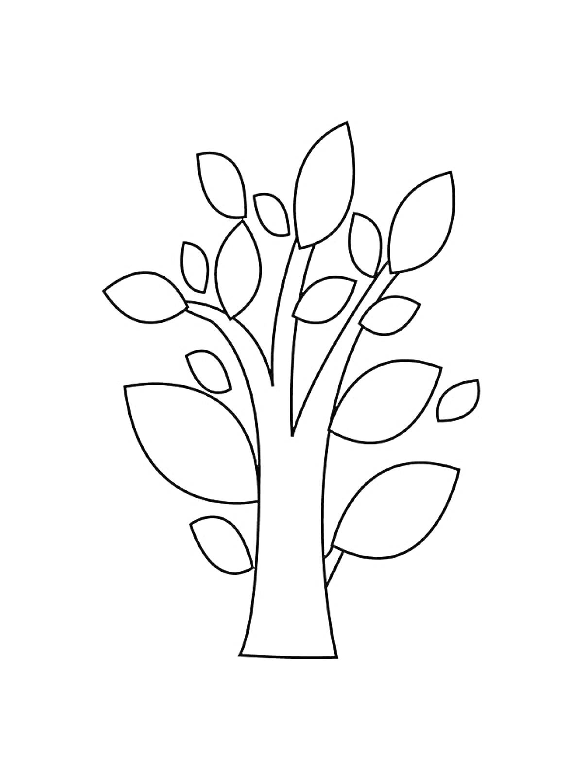 На раскраске изображено: Листья, Аппликация, Деревья, Ветка