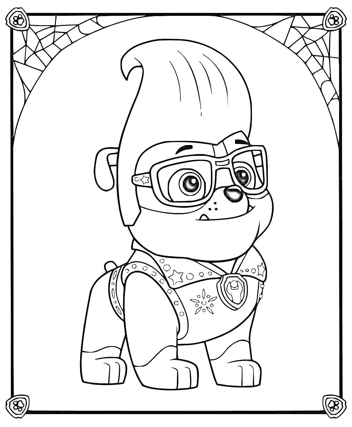 Раскраска Щенок в очках с высоким ирокезом, с узором в виде звезд и паутиной в углах рисунка