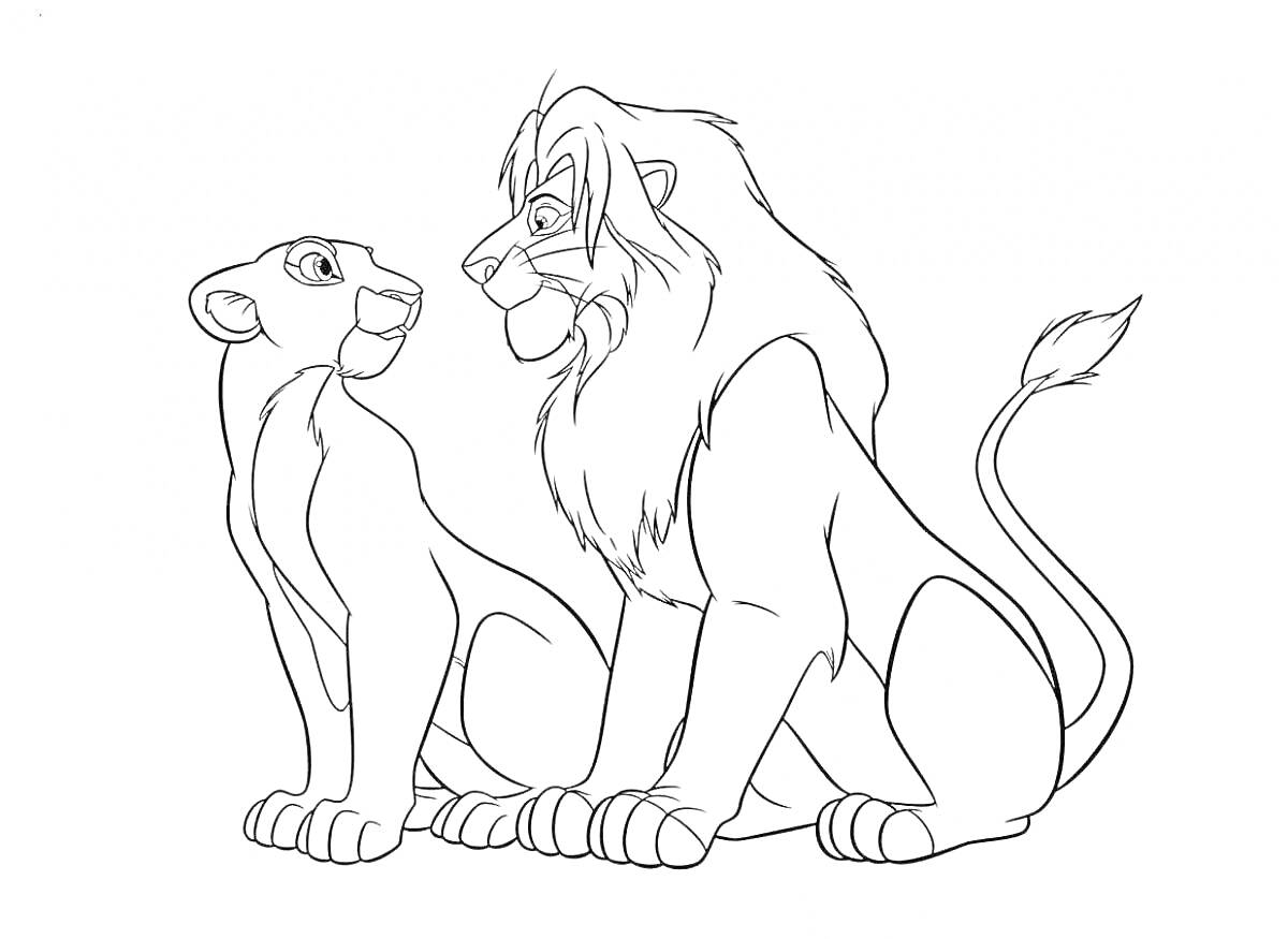 На раскраске изображено: Львы, Лев, Взрослый лев, Животные, Большие кошки