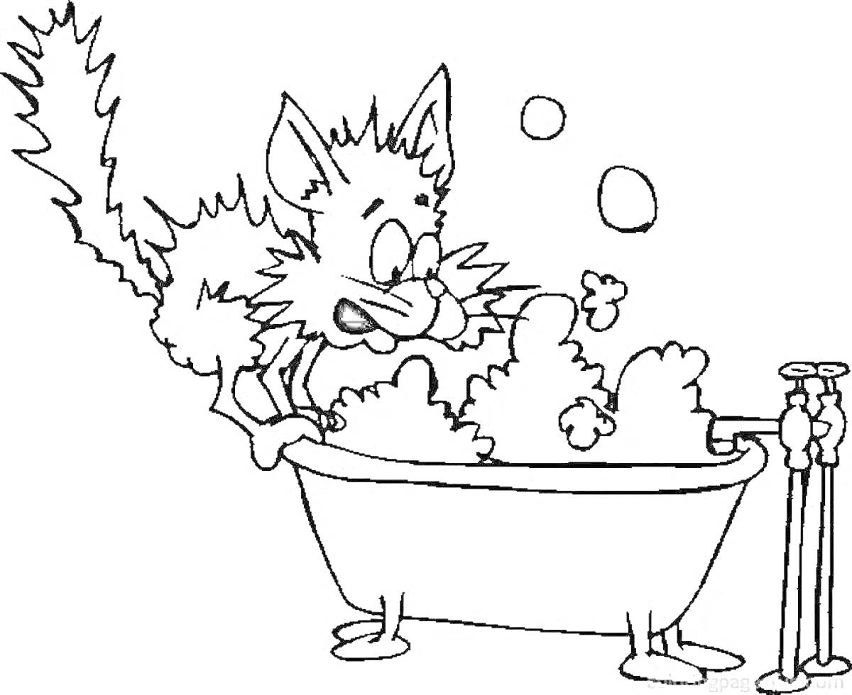 Раскраска Кот с пышной шерстью около ванны с мыльной пеной