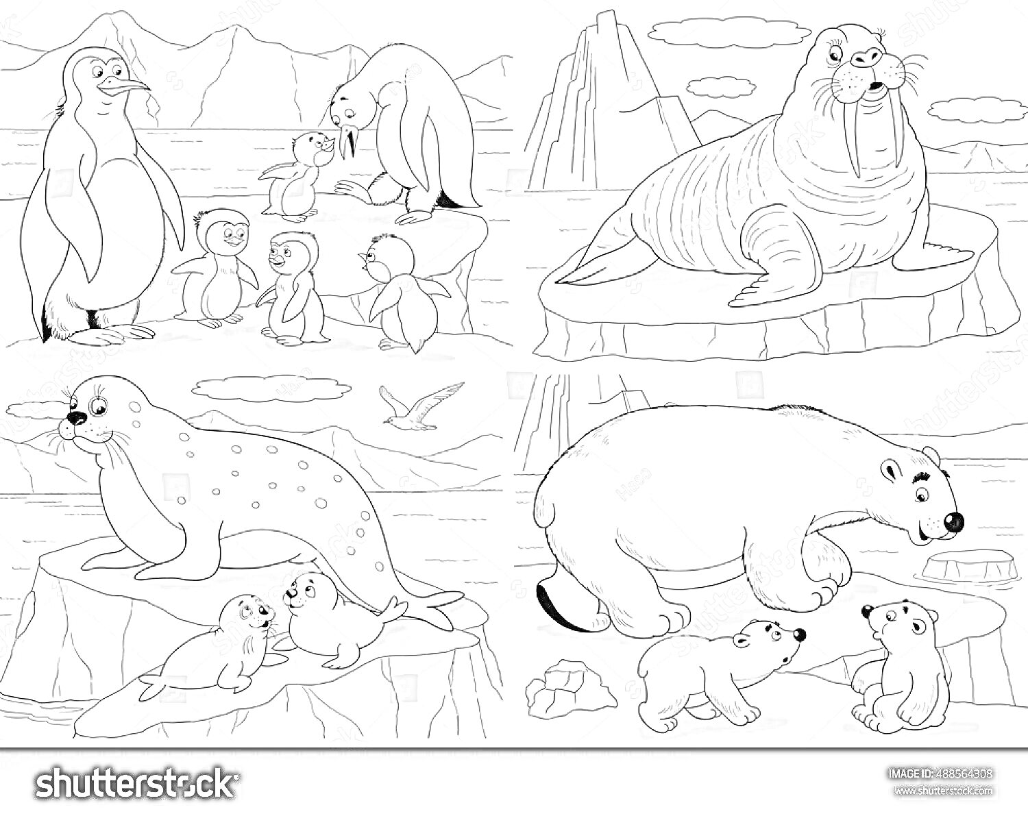 На раскраске изображено: Пингвины, Морж, Тюлень, Медведь, Детеныши, Лед, Снег, Северные животные