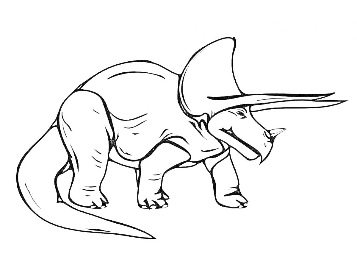 Раскраска Трицератопс динозавр с длинными рогами и хвостом