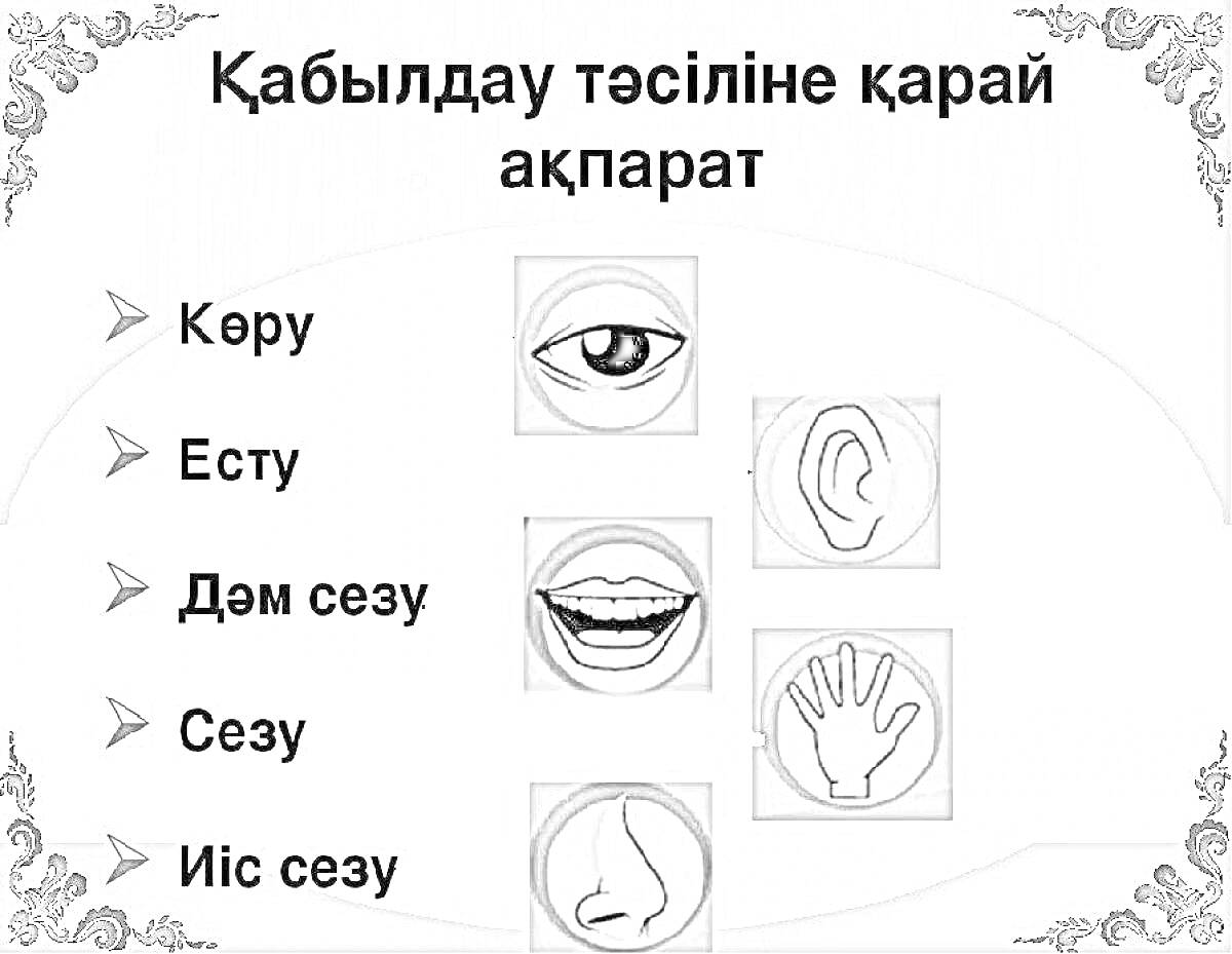 На раскраске изображено: Ухо, Рот, Рука, Нос, Глаза