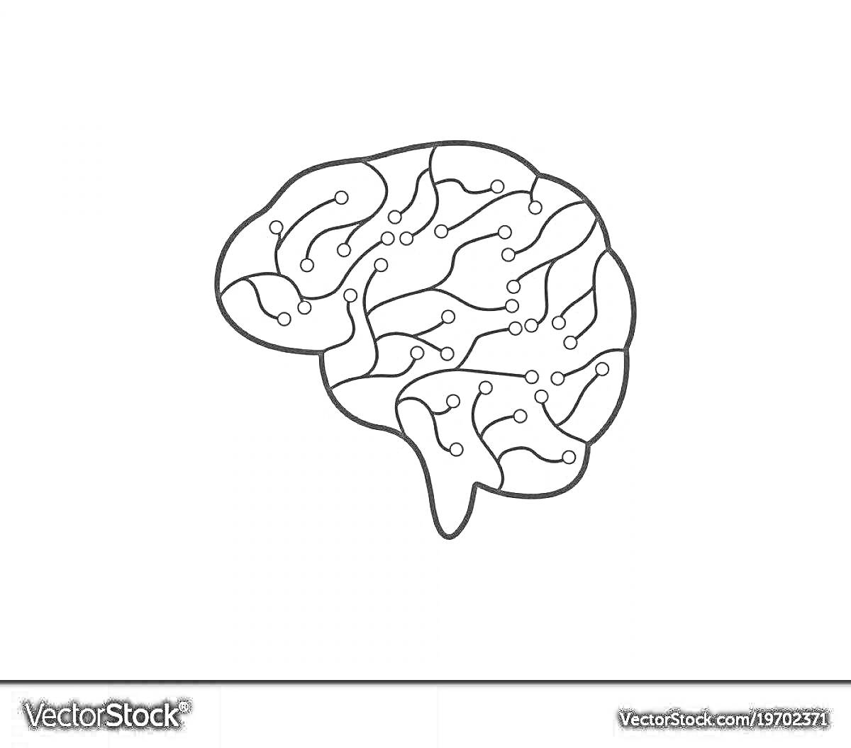На раскраске изображено: Мозг, Нейроны, Связи, Интеллект, Обучение, Образование