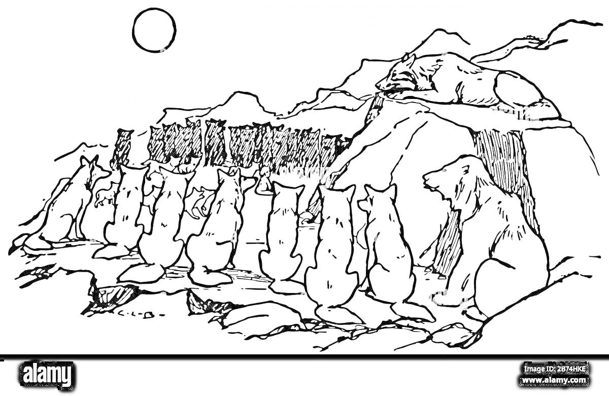Раскраска Стая волков на скале, лидер на вершине, волки сидят на земле, гора на фоне, восход или закат солнца