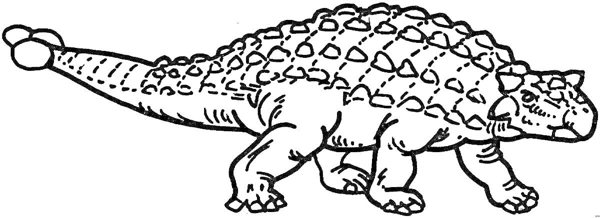 Анкилозавр с крупными шипами на спине и хвостовой булавой, стоящий на земле.