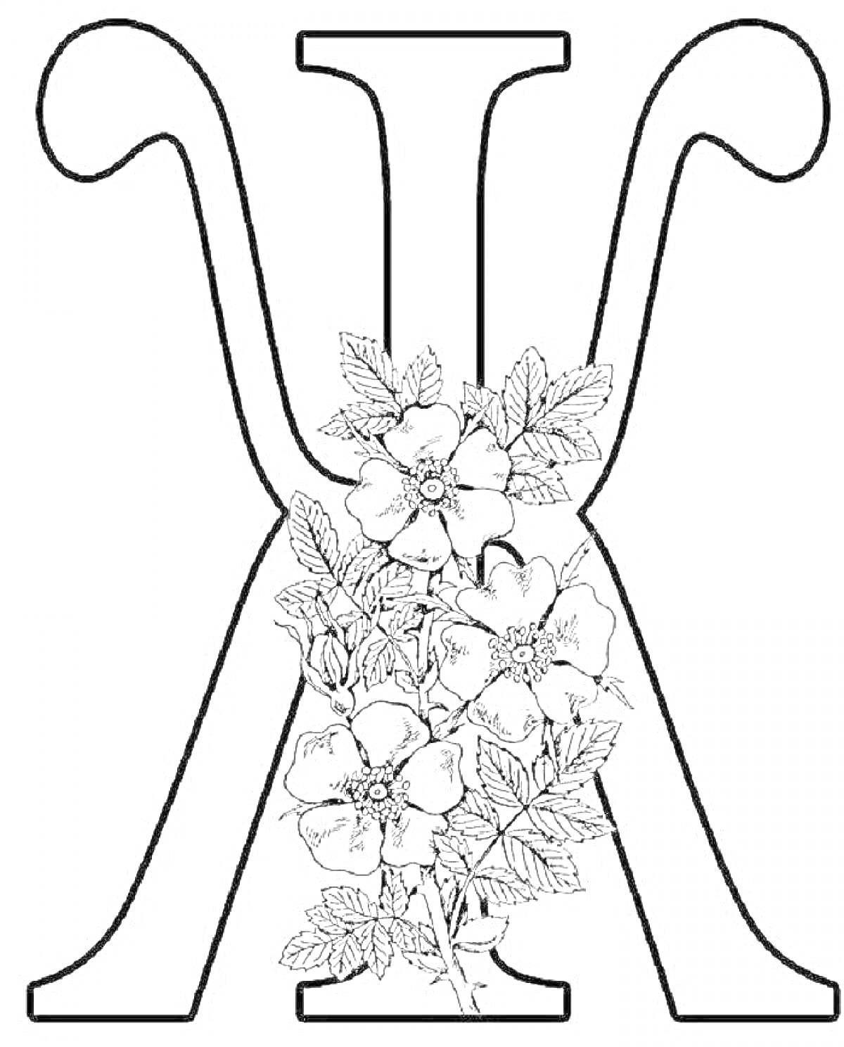 На раскраске изображено: Буква Ж, Цветы, Листья