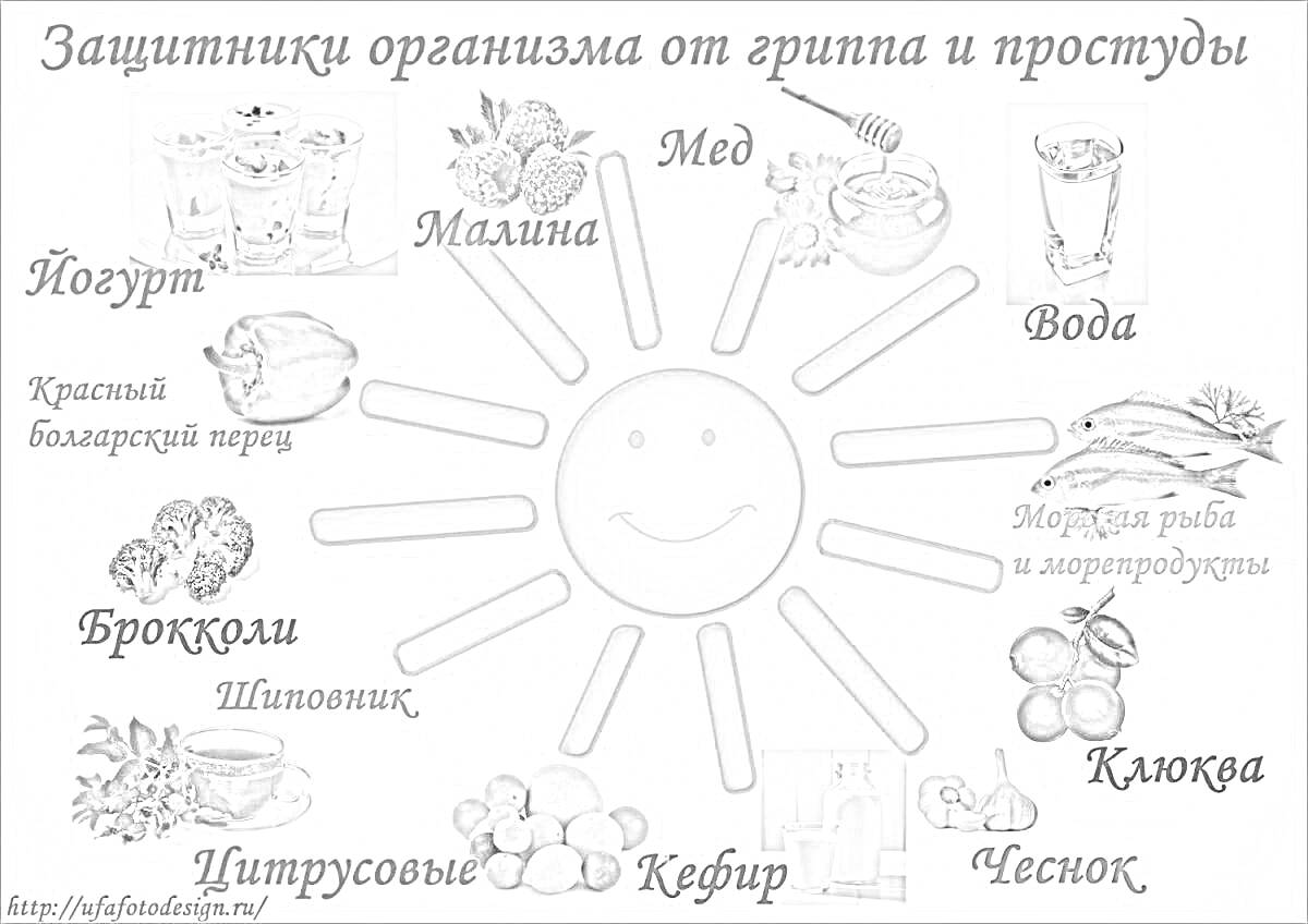 Защитники организма от гриппа и простуды: йогурт, малина, мед, вода, морская рыба и морепродукты, клюква, чеснок, кефир, цитрусовые, шиповник, брокколи, красный болгарский перец