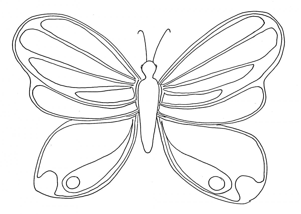 На раскраске изображено: Бабочка, Крупная, Узоры, Крылья, Насекомое, Для детей