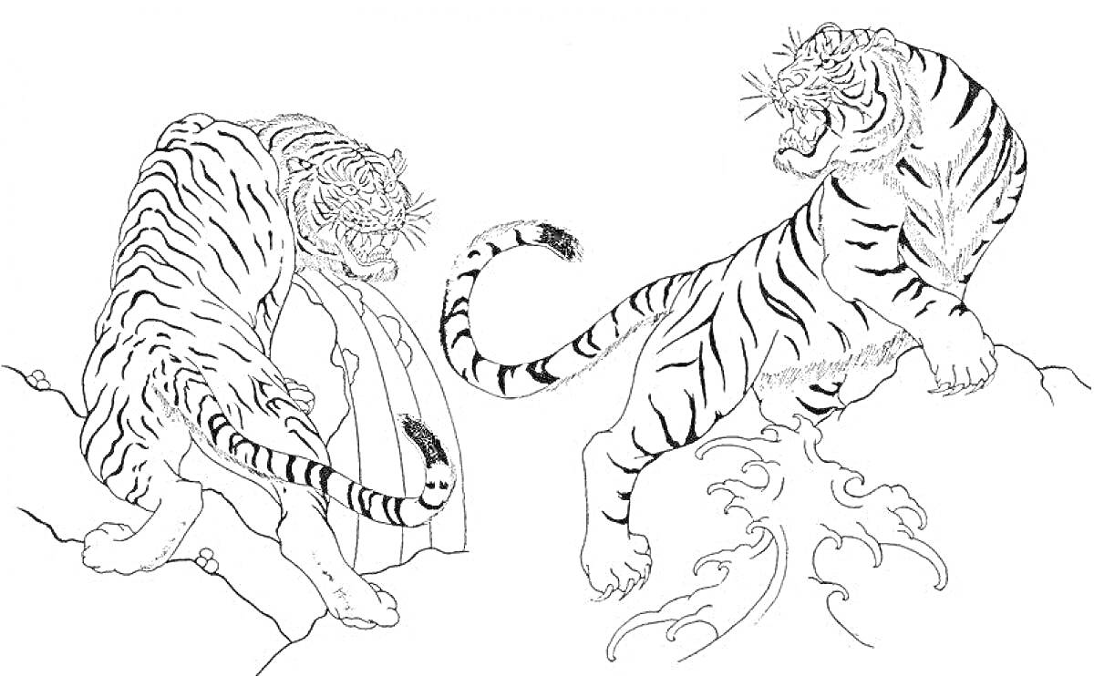 На раскраске изображено: Тигр, Скалы, Хищники, Дикие животные, Природа, Звери