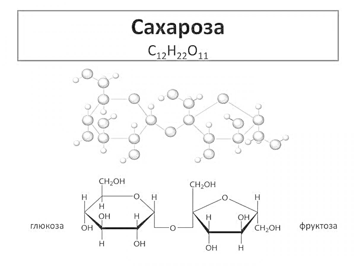 На раскраске изображено: Сахароза, Химия, Молекула, Формула, Наука, Органическая химия