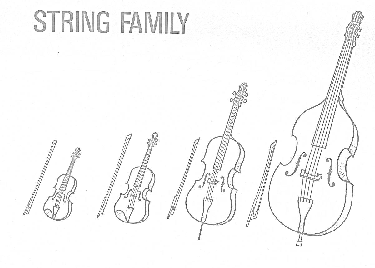 На раскраске изображено: Скрипка, Виолончель, Контрабас, Струнные инструменты, Музыка