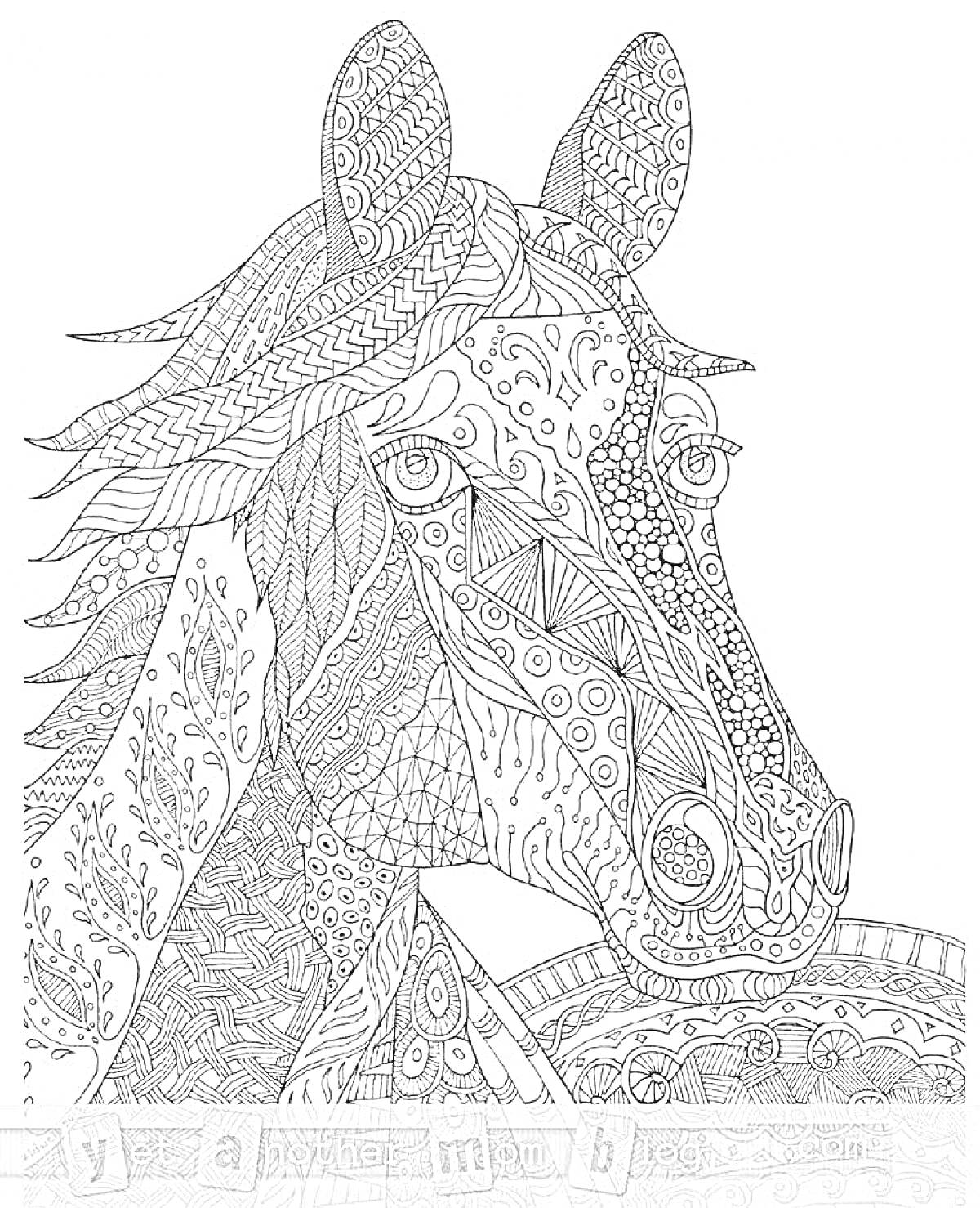 На раскраске изображено: Лошадь, Узоры, Детали, Декоративные элементы, Контурные рисунки