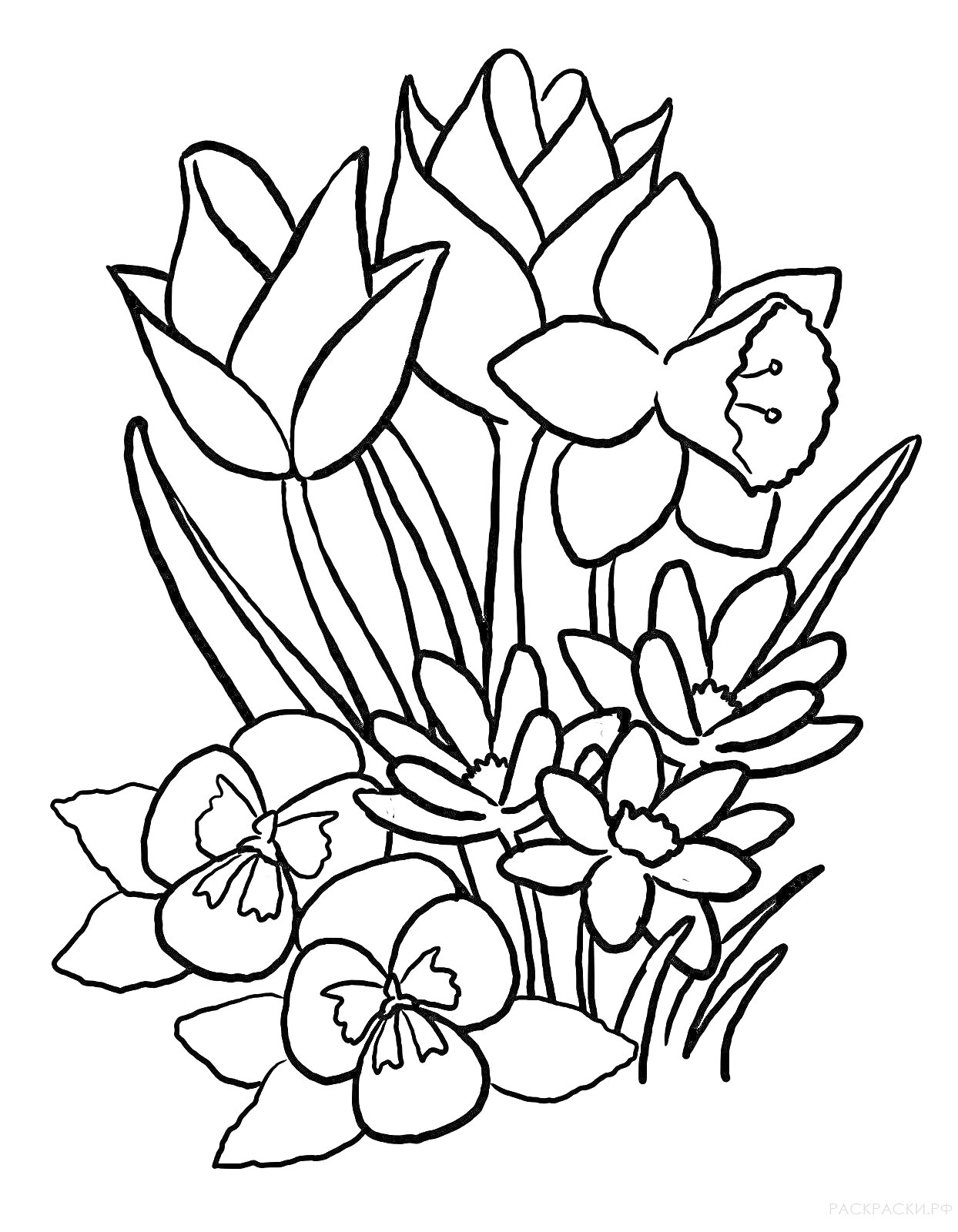 На раскраске изображено: Весенние цветы, Тюльпаны, Нарциссы, Анютины глазки, Цветы, Природа