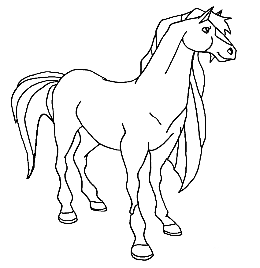 На раскраске изображено: Длинная грива, Хвост, Животные, Лошадь